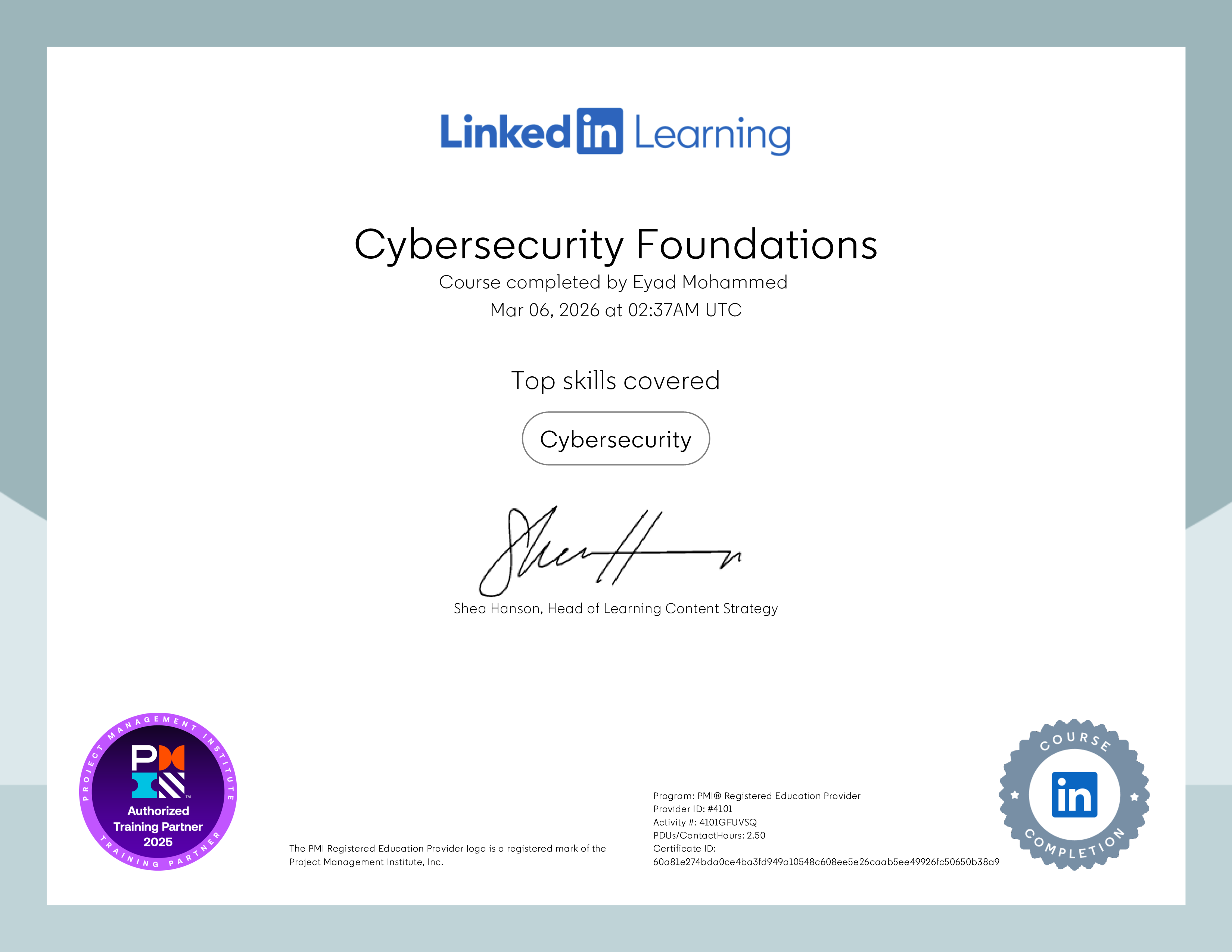 Cybersecurity Foundations